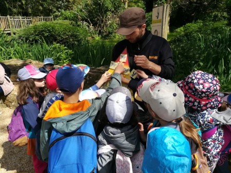 Photo séjour J’apprends à nager et je découvre les animaux