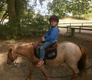 cesl_colonie_poney_ferme_activite.jpg