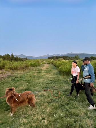 Photo séjour Cani-Rando