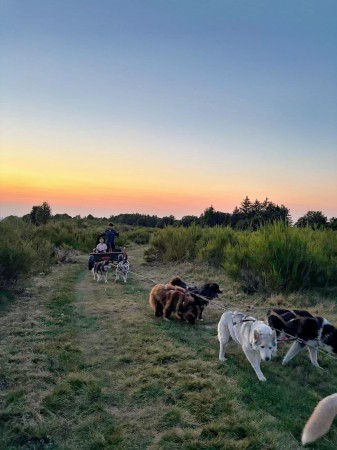 Photo séjour Cani-Rando