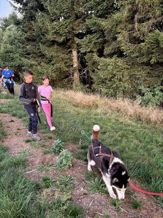 Photo séjour Cani-Rando