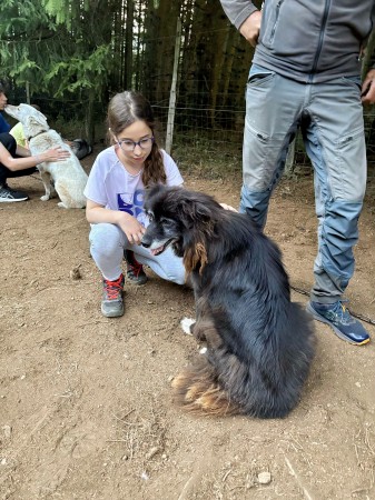 Photo séjour Cani-Rando