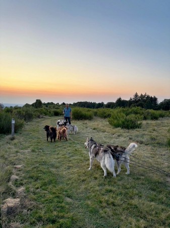 Photo séjour Cani-Rando