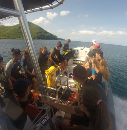 Photo séjour Douceurs en Guadeloupe