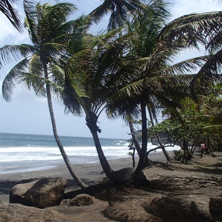 Photo séjour Douceurs en Guadeloupe