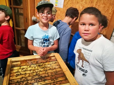 Photo séjour Jumanji, prêt pour l'aventure