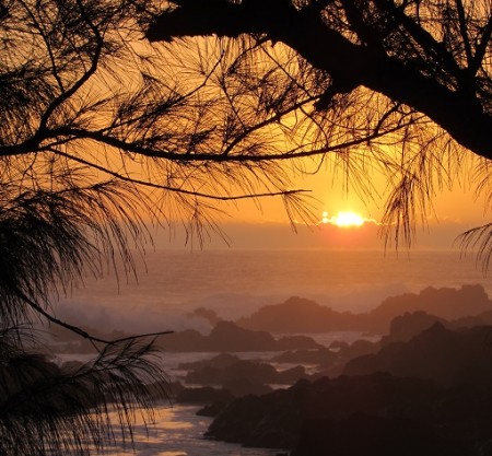 Photo séjour La Réunion, l’île intense