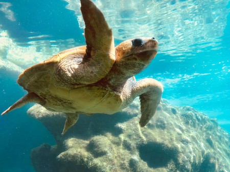 Photo séjour La Réunion, l’île intense