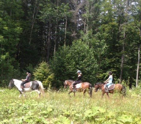 Photo séjour Tous au Galop !