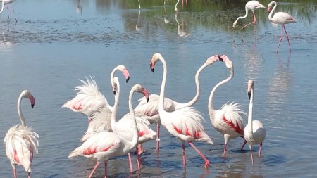 Photo séjour Les pieds dans l'eau