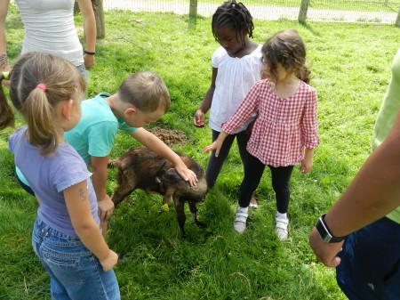 Photo séjour Ma première colo aux portes de Paris