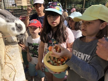 Photo séjour Ma première colo aux portes de Paris