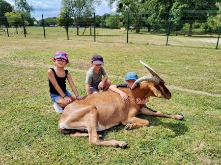 Photo séjour Ma première colo aux portes de Paris