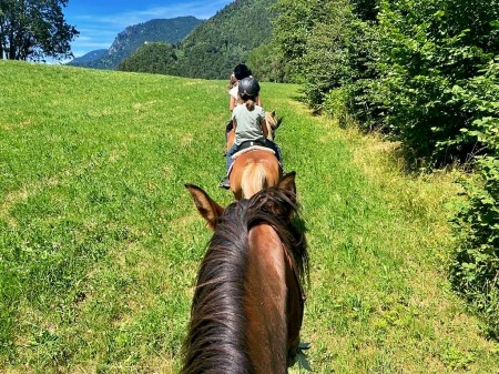Photo une séjour TOUS AU GALOP !