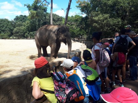 La Rochelle Decouverte Charente Maritime 6 10 11 14 Ans