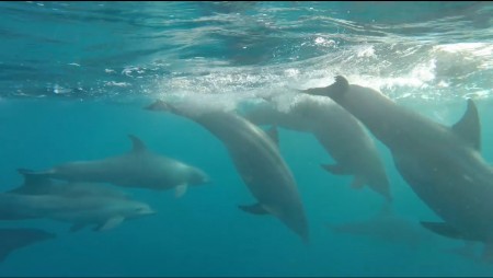 Photo séjour Ile de Zanzibar