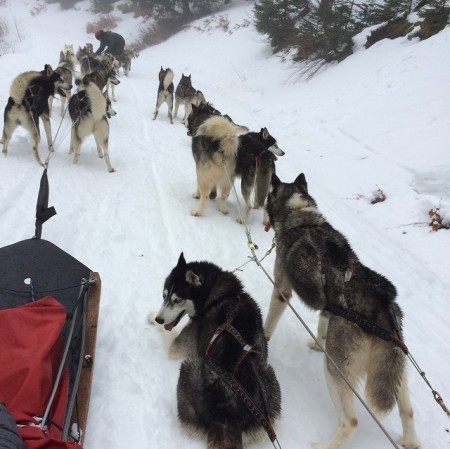 Photo séjour La vie de Musher