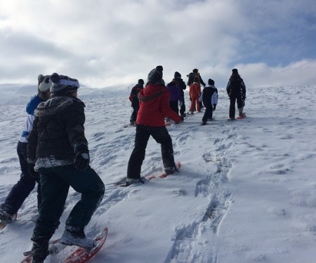 Photo séjour La vie de Musher