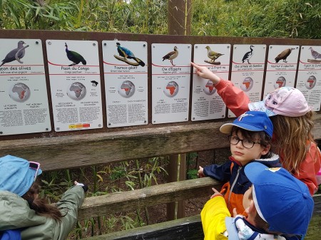 Photo séjour J’apprends à nager et je découvre les animaux