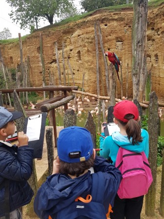 Photo séjour J’apprends à nager et je découvre les animaux