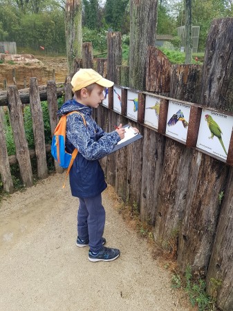 Photo séjour J’apprends à nager et je découvre les animaux