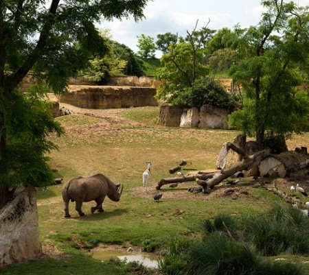 Photo séjour J’apprends à nager et je découvre les animaux