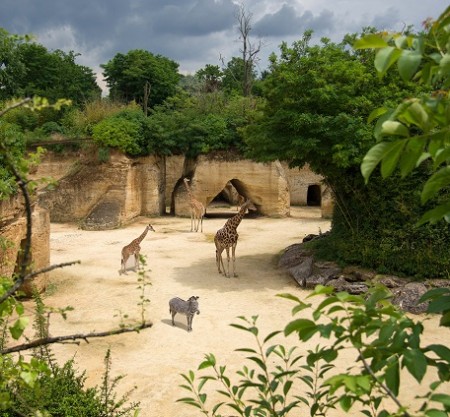 Photo séjour J’apprends à nager et je découvre les animaux