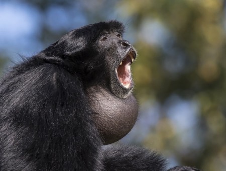 Photo séjour J’apprends à nager et je découvre les animaux