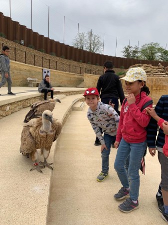 Photo séjour J’apprends à nager et je découvre les animaux