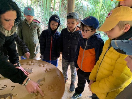 Photo séjour J’apprends à nager et je découvre les animaux