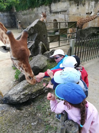 Photo séjour Apprendre à nager & découvrir les animaux