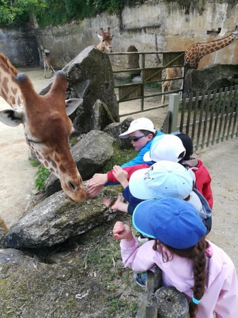 Photo séjour J’apprends à nager et je découvre les animaux