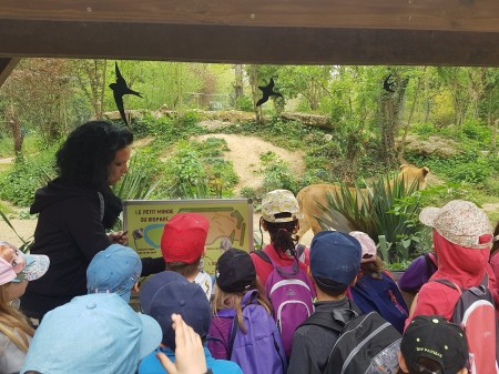 Photo séjour J’apprends à nager et je découvre les animaux