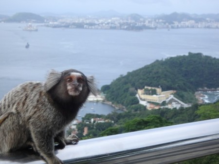 Photo séjour Si tu vas à Rio… et à Buzios !