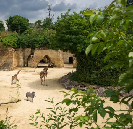 Photo séjour Futuroscope & Vallée des singes