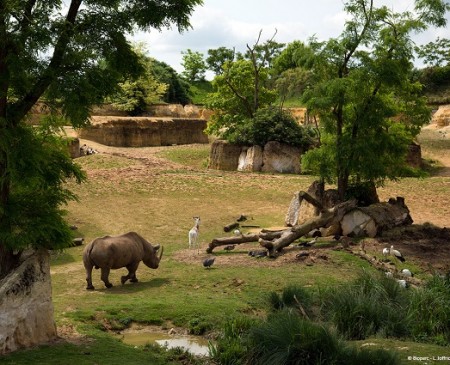 Photo séjour Futuroscope & Vallée des singes