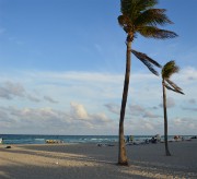 miami_beach_colo_cesl.jpg